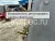 Опрыскиватель вентиляторный прицепной TORNADO2000 (MOSH) Опрыскиватель вентиляторный прицепной TORNADO2000 (MOSH)